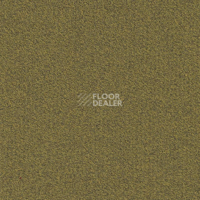 Ковровая плитка Modulyss Millennium Nxtgen Millennium Nxtgen 210 фото 1 | FLOORDEALER